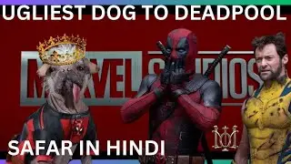 From &lsquo;Britain&rsquo;s Ugliest Dog&rsquo; to Marvel&rsquo;s Dogpool Star | The Untold Story of Peggy&rsquo;s Rise | #marvel