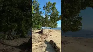 Cozy place of mahaba island cuatro islas 🌊