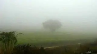 Cruising through Fog