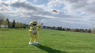 Louie The Lightning Bug's Adventure In Electrical Safety
