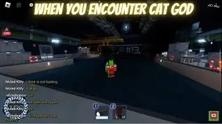 When you Encounter Cat God in Roblox