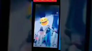 dog disturb the dancing girl