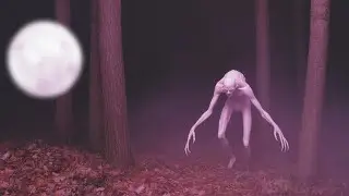 3 Spine-Chilling TRUE Wilderness Encounters: Sinister Secrets Revealed in the Haunted Deep Woods