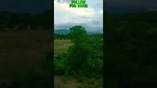 Village Train Journey #train #reels #reelsinstagram #trending #sanalcwilson #destinygo #nature