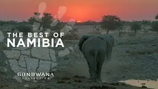 The Best of Namibia - A Bird's Eye View