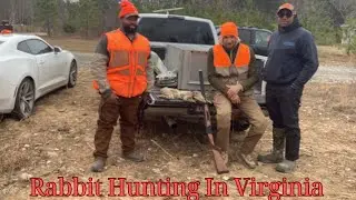 Hunting Thick Cutover On Quick 4 Hour Rabbit Hunt| Rabbit Hunting With Beagles 