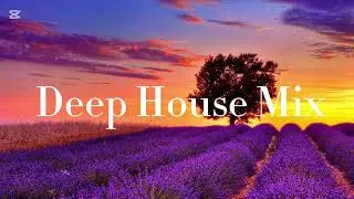 MR - Deep House Mix | Vol.50