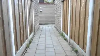 Kiddo het konijn - De uitbraak 2013
