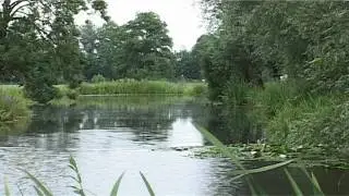 Blik op de Polder - Kamerik