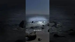I Went Looking for SHARKS Alone! 🦈