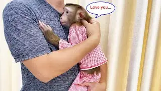 So emotional! Monkey Lyly always has special love for the cameraman. |Full video|