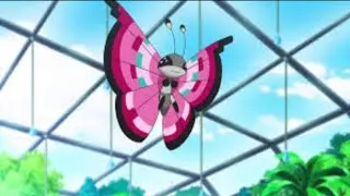 All Attacks of Vivillon