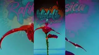 W_li & RAFIK - ROZDZIAŁ