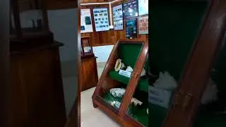 wildlife Information and Resource Centre @ North and Middle Andaman 🐚🐢🐦🐙