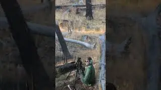 Vapor Trail Kill Shot w/ 300 Win Mag #elk #hunting