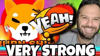 Монета сиба-ину | Отскок SHIB в игре! Розничная торговля покупает падение?!