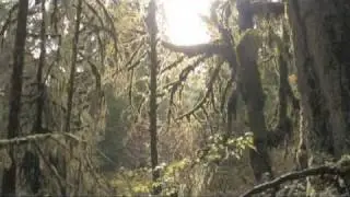 Alderleaf Wilderness College Field Trip to the Olympic Peninsula