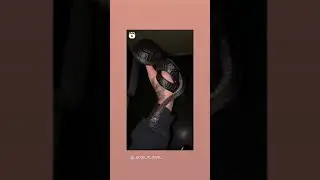 snake  friend Attitude