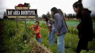 Bay Area Bountiful: The Center for Ecoliteracy