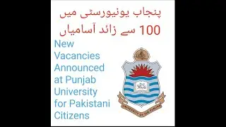 Job 100+ Vacancies Announced at Punjab University / 2022