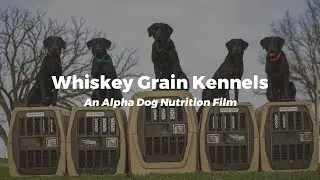 Whiskey Grain Kennels: An Alpha Dog Nutrition Film