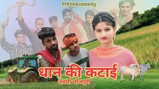 धान की कटाई ||अवधी भोजपुरी कॉमेडी || Prk184 comedy