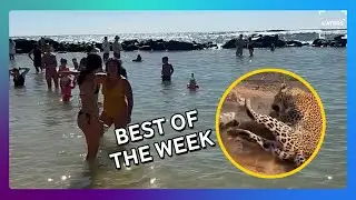 Самые вирусные моменты этой недели!