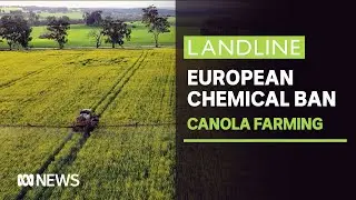 Canola Chemical Ban: Warning from European buyers on chemical use | Landline