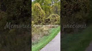 Beautiful view # #nature #travel #canada #fall #fyp #aesthetic #viral #shorts