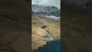 Что такого особенного в этом лесу на Фарерских островах?