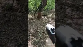 оооп Оса ПБ 4-2 и современные патроны НОТ