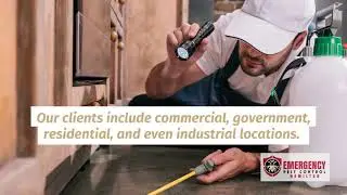 Hamilton Emergency Pest Control