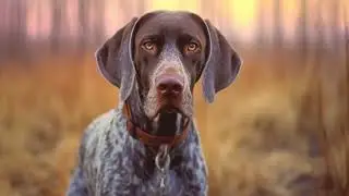 Preventing Escape Behavior in German Shorthaired Pointers