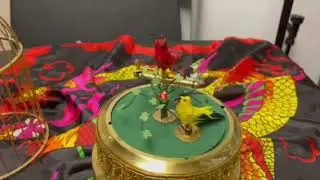 Frank Paris Remote Control Double Bird Video before Remote electronics installed
