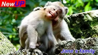 O.M.G! Br@t Jonna cried convuls!ve tEmper Jane sl@p denied milk and left her alone sleeping sadness.
