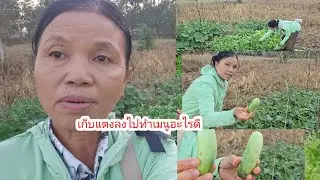 อาการล่าสุดย่าอาชิ เก็บแดงไปฝากใคร#ป้าแต๋นชาเเนล 
