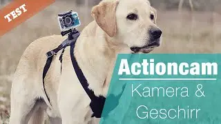TEST Actionkamera und Hundegeschirr für den Hund | QUMOX SJ4000 GoPro Action Cam