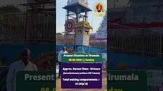 Present Tirumala Sarvadarshanam Timings | Today's Darshan Updates | SSD tokens | TTD latest Darshan|