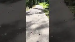 Shades Creek Lakeshore Drive walking/bike Trail. Homewood AL. 