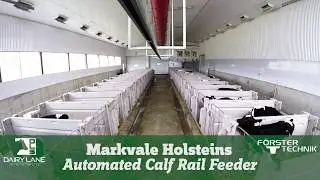 Automatic Calf Rail Feeder - Markvale Holsteins