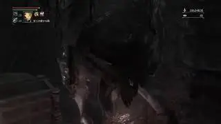 ブラボ　マラソン