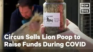 German Circus Sells Lion Poop During COVID-19 Pandemic | NowThis