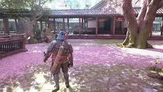 Assassin's Creed Shadows