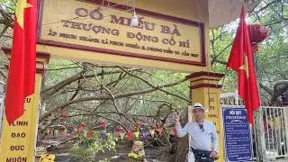 GIÀN GỪA LỚN NHẤT VIỆT NAM 