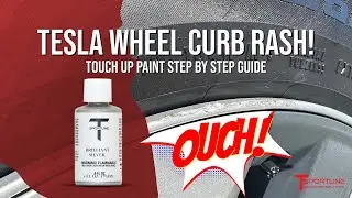 Got Curb Rash? Touch it up!  How to use T Sportline's Tesla Wheel Touch Up Paint, Step by Step
