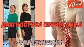 Проверьте свою СПИНУ