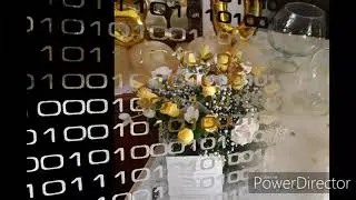 Il cinquantesimo