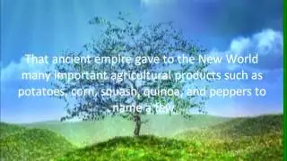 Peruvian Gold Fertilizer's Incan Empire