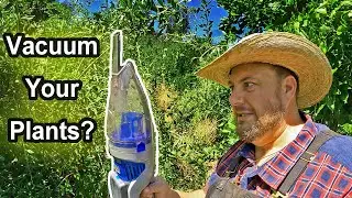 Vacuum Your Plants For A Pest Free Garden | Organic Pest Control