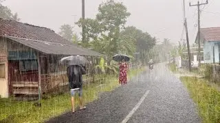 EXTREME Thunderstorm and strong winds in Hidden Red Soil Village-Rain Sounds for Sleep & Meditation